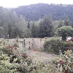 度假居 Ferienhaus Goldisthal *