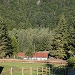 Ferienhaus Goldisthal 度假居