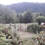 度假居 Ferienhaus Goldisthal