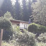 Ferienhaus Goldisthal 度假居 Goldisthal