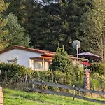 Ferienhaus Goldisthal *