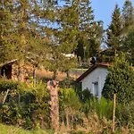 度假居 Ferienhaus Goldisthal Goldisthal