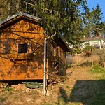 Ferienhaus Goldisthal 度假居