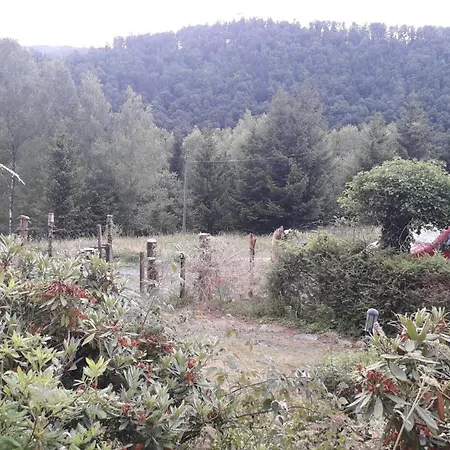 Vakantiehuis Ferienhaus Goldisthal