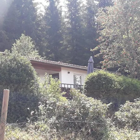 Ferienhaus Goldisthal Vakantiehuis Goldisthal
