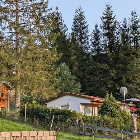 Vakantiehuis Ferienhaus Goldisthal