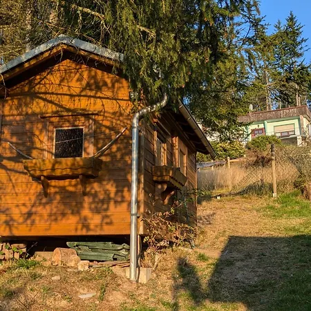 Ferienhaus Goldisthal Vakantiehuis