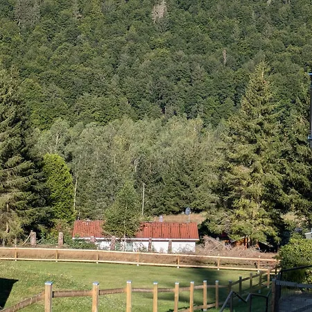 Ferienhaus Goldisthal * Goldisthal