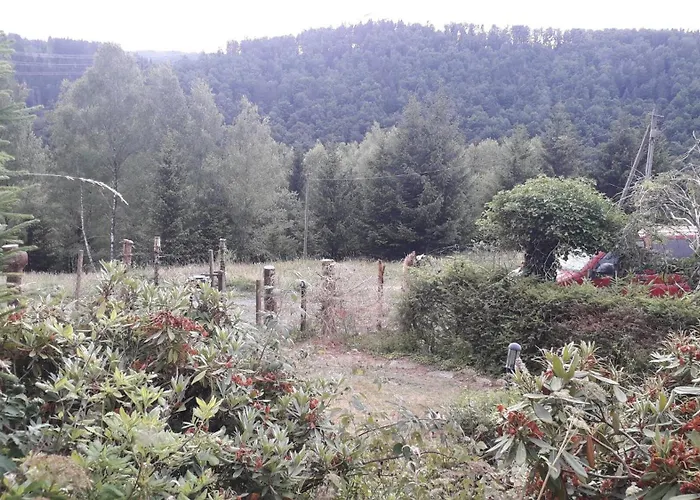 Ferienhaus Ferienhaus Goldisthal *