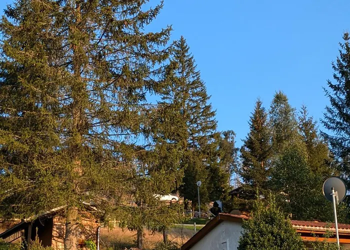 Ferienhaus Goldisthal Ferienhaus