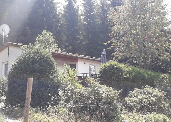 Ferienhaus Goldisthal Ferienhaus *