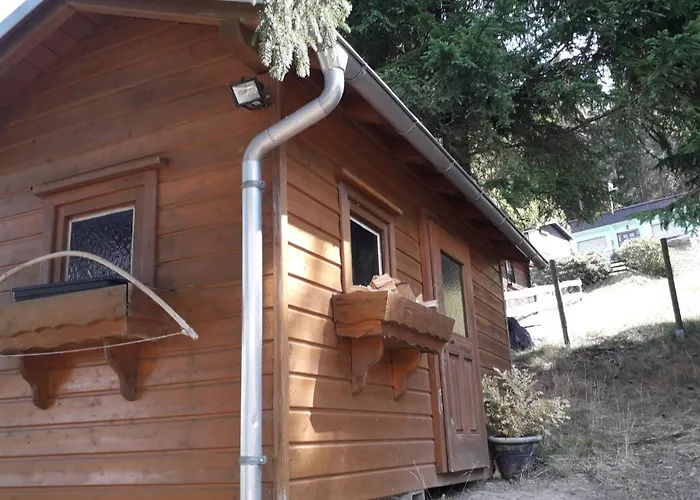 Ferienhaus Goldisthal Goldisthal