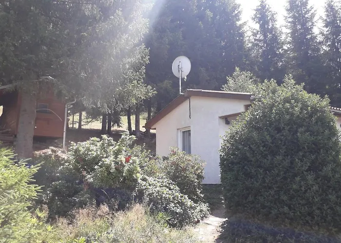 Ferienhaus Ferienhaus Goldisthal *