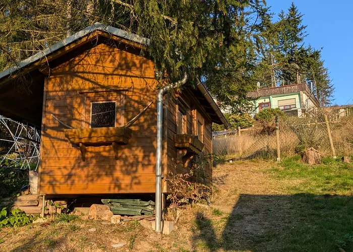 Ferienhaus Goldisthal Ferienhaus *