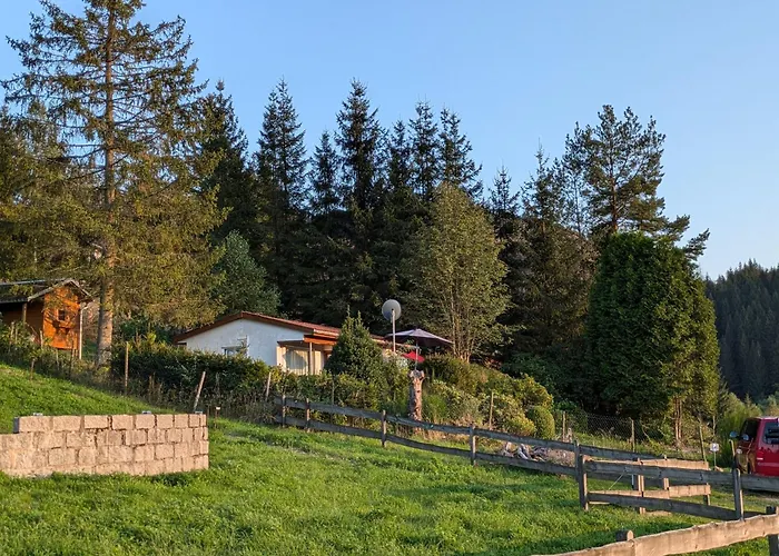 Ferienhaus Goldisthal *