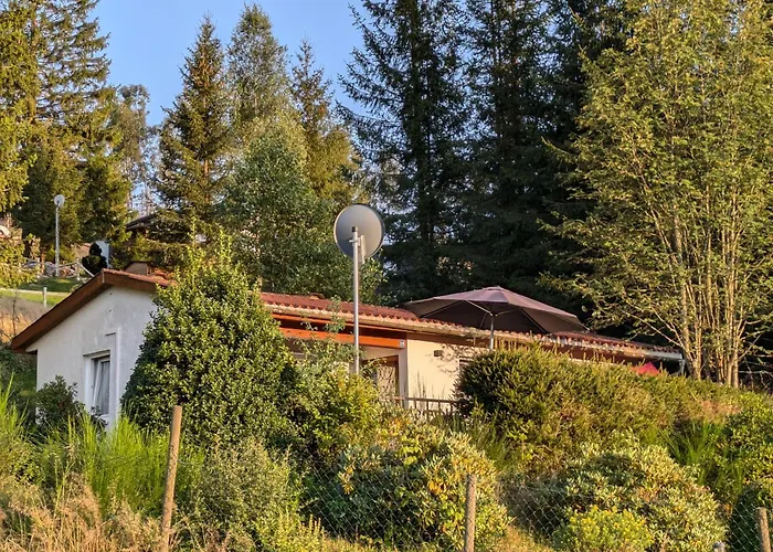 Ferienhaus Ferienhaus Goldisthal *