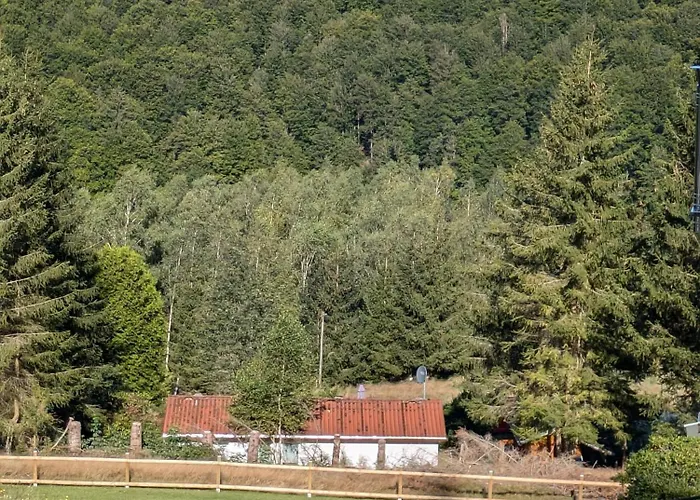 Ferienhaus Goldisthal Ferienhaus